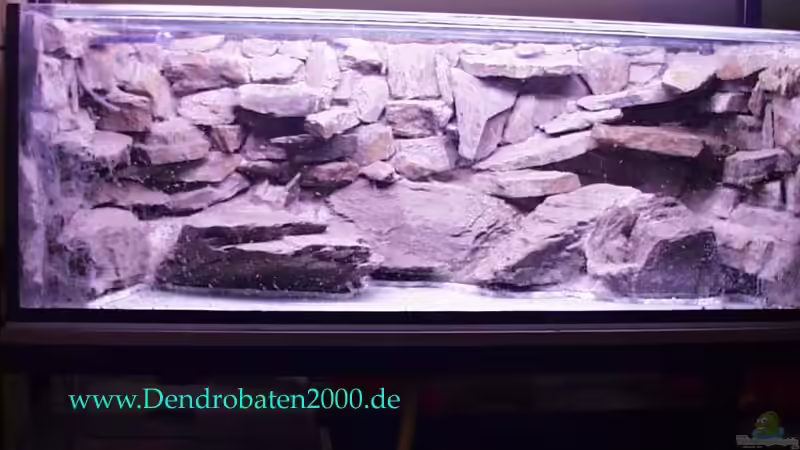 aufbau von Michael Rückauf (2)