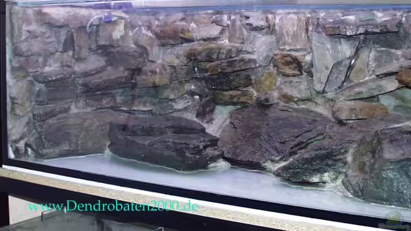 aufbau von Michael Rückauf (3)