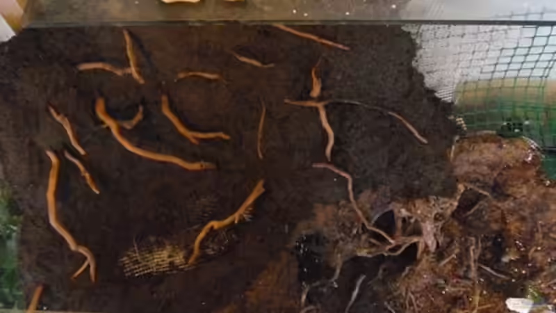 Aufbau von oben von gkr123 (25)