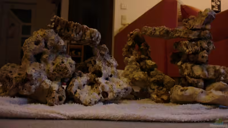 Aufbau1 von Jane Vogeler (10)