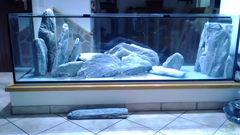 Aufbau1 von Malawi Duck (2)