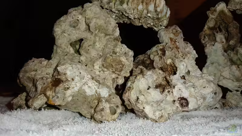 Aufbau2 von Jane Vogeler (11)