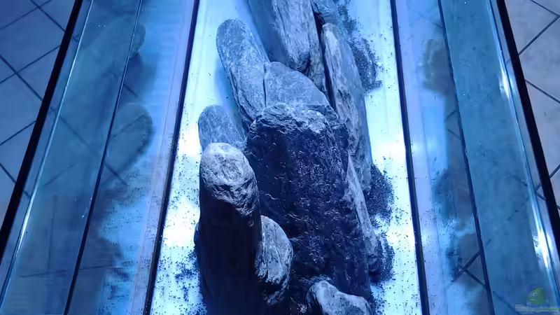 Aufbau2 von Malawi Duck (3)