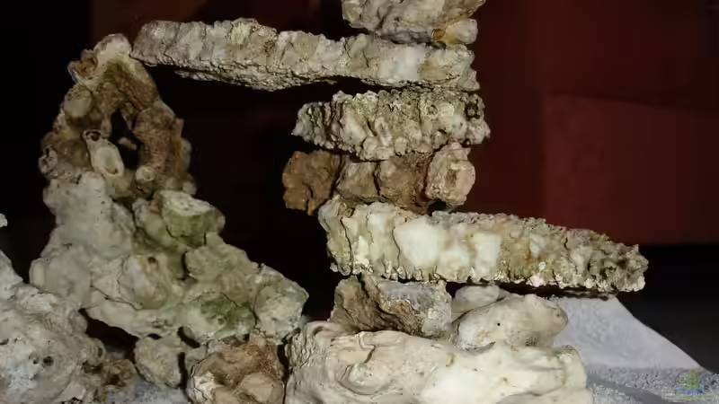 Aufbau3 von Jane Vogeler (12)