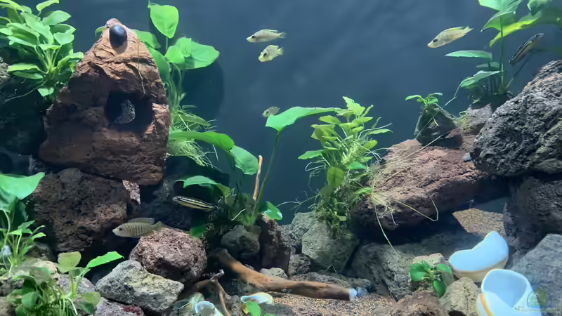 Aufbauten 01 von KLu_69 (5)