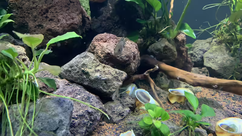 Aufbauten 02 von KLu_69 (6)