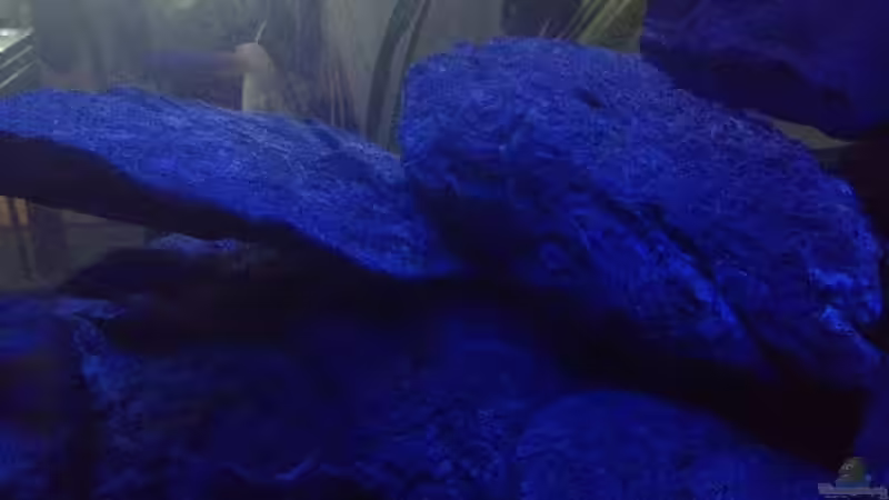 Aufbauten im neuen Licht. Noch zu bläulich  von der Steirer (14)