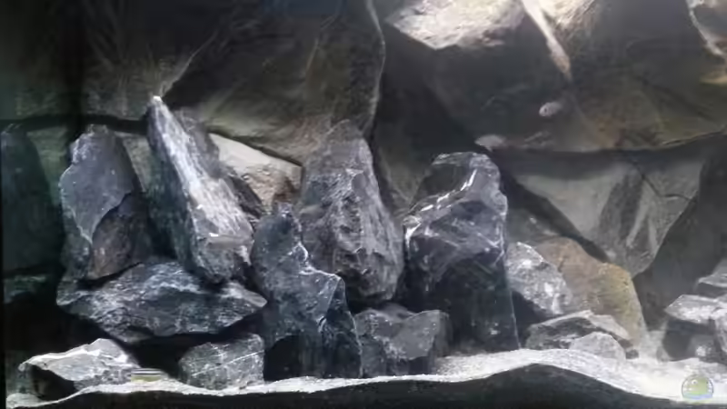 Aufbauten links, neu von tripledad (12)