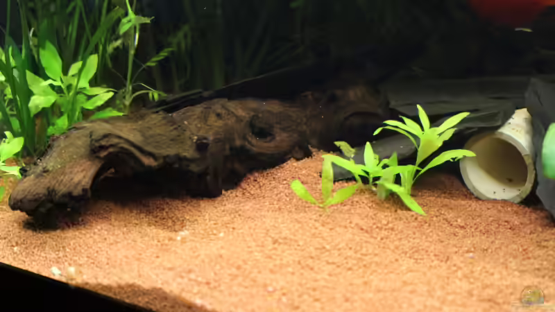 Aufbauten links von JessiKa265 (8)