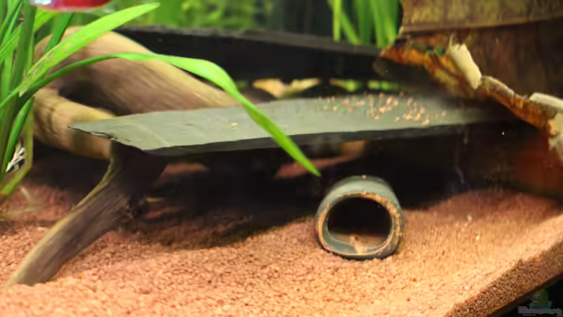 Aufbauten rechts von JessiKa265 (5)