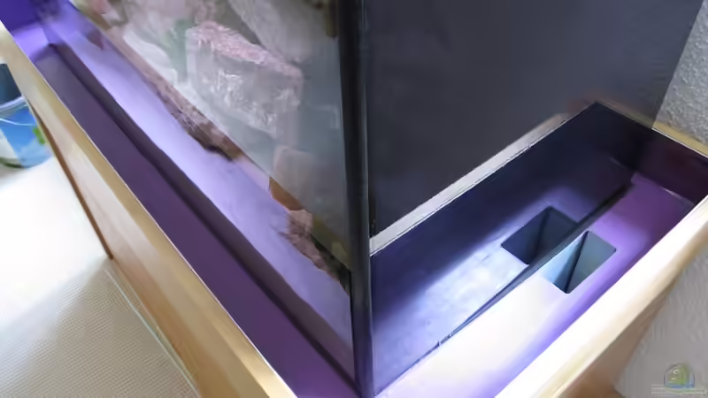 Auffangschale mit Schlitzen für den Auffangtank von aquamika (7)