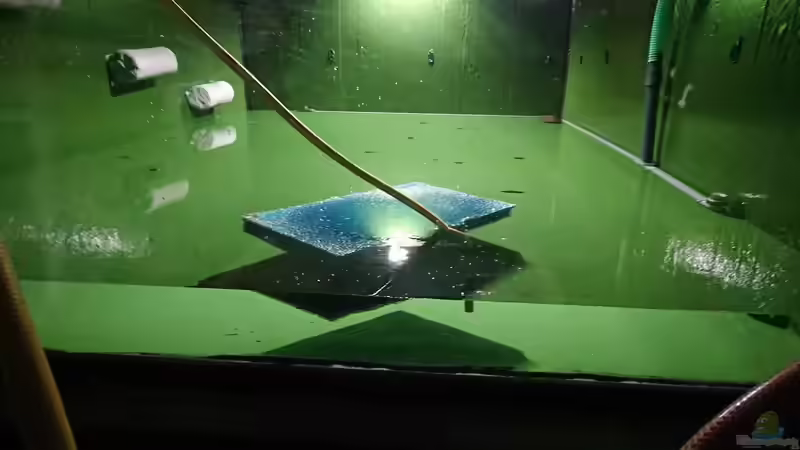 Auffüllen, langsam erholt sich der Puls von kellerkind (43)