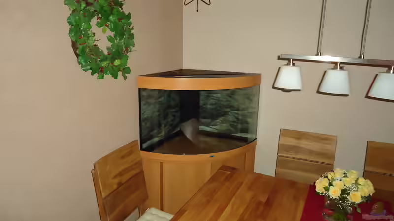 Aufgebaut ohne Inhalt von atom010 (10)