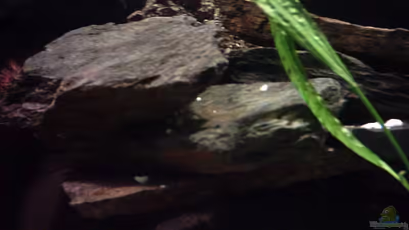 aufgeschichtete Schieferplatten von Bernd Niehoff (17)