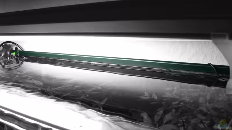 Aufgesetzte Leiste, damit kein Wasser zwischen Aquariumwand und Rückwandfolie laufen von Lars T. (2)