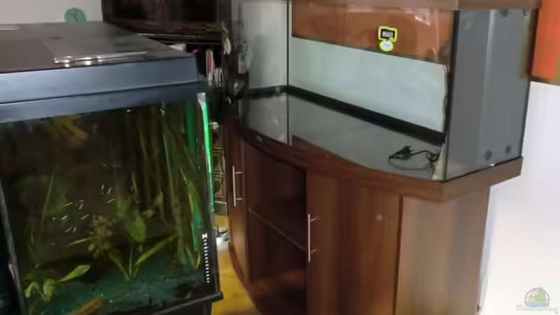 aufgestellt und ausgerichtet von Sirko Fricke (6)