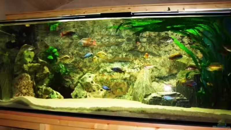 Aufnahme mit Blitz von MalawiEder (3)