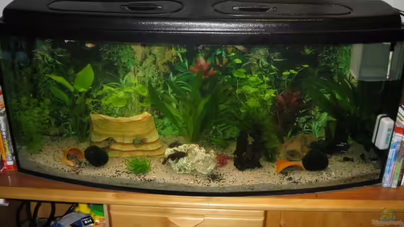 Aufnahme mit Blitz von Stefan Holzmann (2)