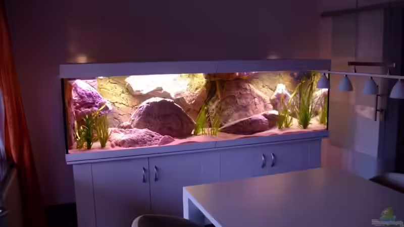 Aufnahme vom 10.10.2011 von HirMat (5)