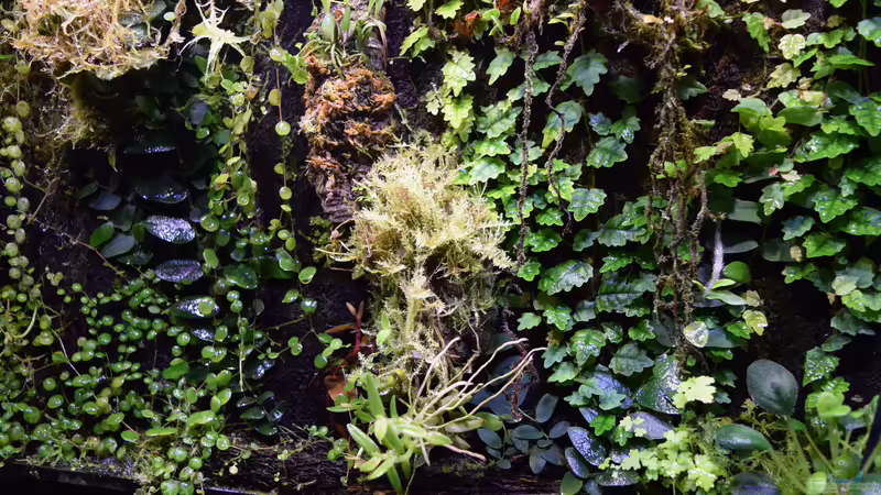 Aufnahme vom 19.11.2016 von Junglist (20)