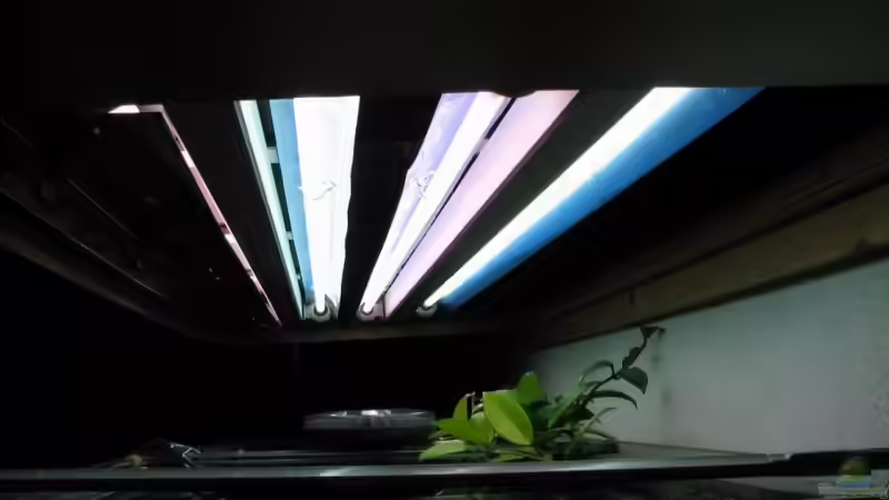 Aufnahme vor der ??bernahme gemacht von Aquestor (11)