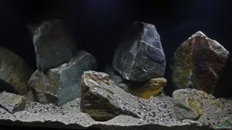 Aufnahmen in der Einlaufphase mit LED-Spots (die zum Fotografieren genutzt werden) von AjakAndi (2)