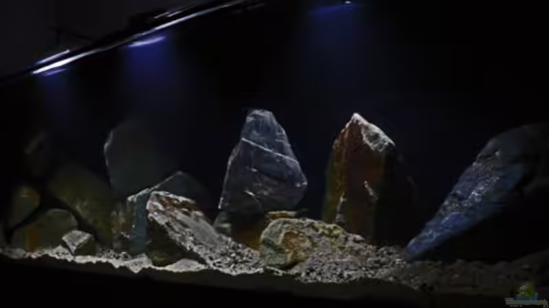 Aufnahmen in der Einlaufphase mit LED-Spots (die zum Fotografieren genutzt werden) von AjakAndi (4)