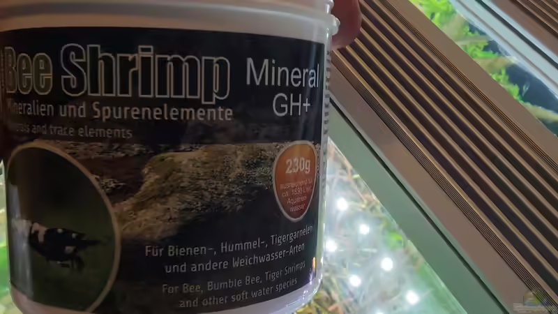 Aufsalzung am 21.12.2025 von C-NA (23)