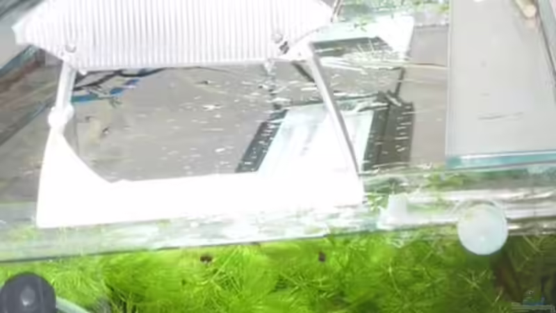 Aufsetzleuchte 4 x 35 W / T5 von Werner Müller (18)