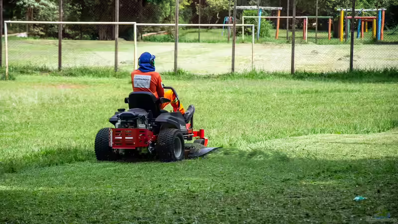 Aufsitzmäher - Der umfassende Ratgeber für große Rasenflächen im Garten