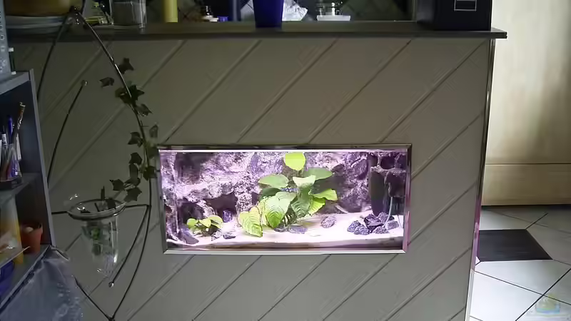 Aufsuchtbechen in der Theke eingebaut von Marco Spurzem (19)