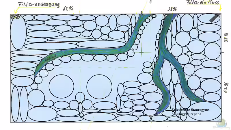 Aufteilung der Pflanzen von Pflanzenmaster (21)