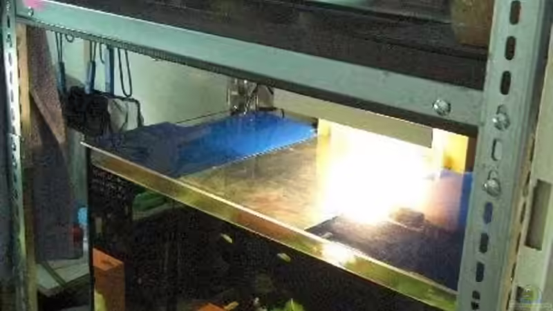 Aufzuchtanlage 2 unten von Malawi TOM (5)