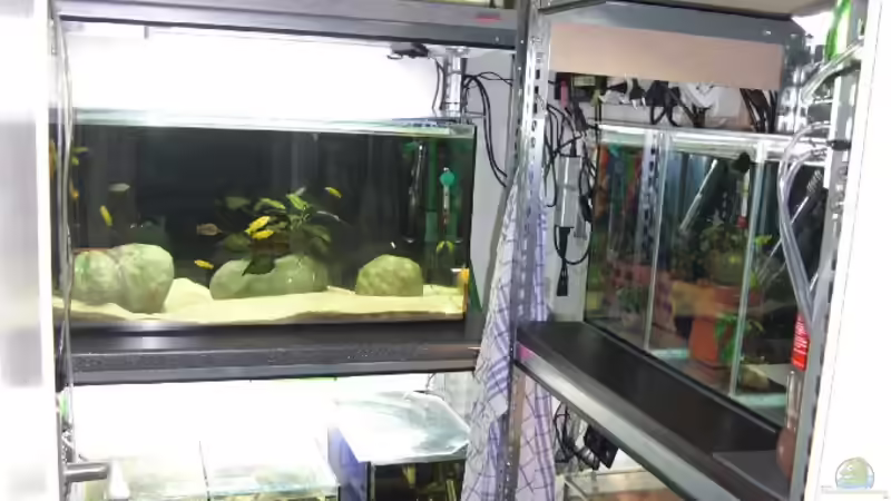 Aufzuchtanlage von Malawi TOM (2)