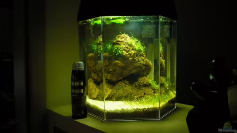 Aufzuchtbecken, ca. 20l von Mario Lange (3)