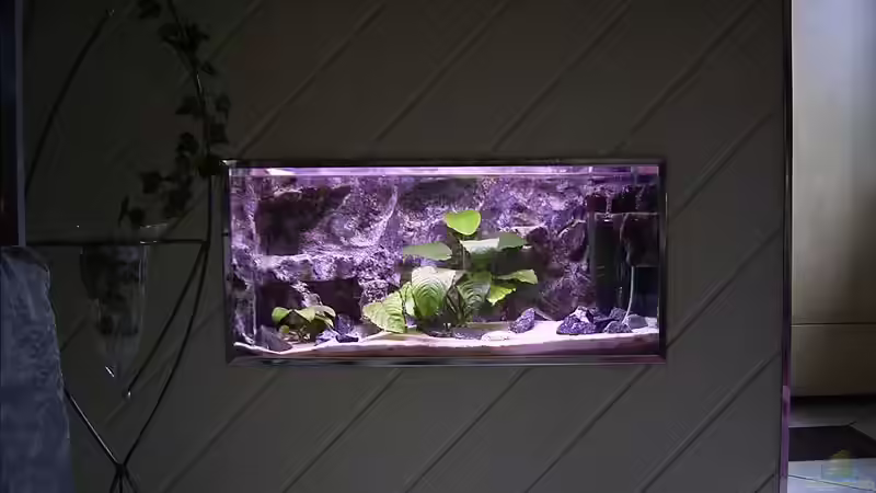 Aufzuchtbecken  von Marco Spurzem (20)