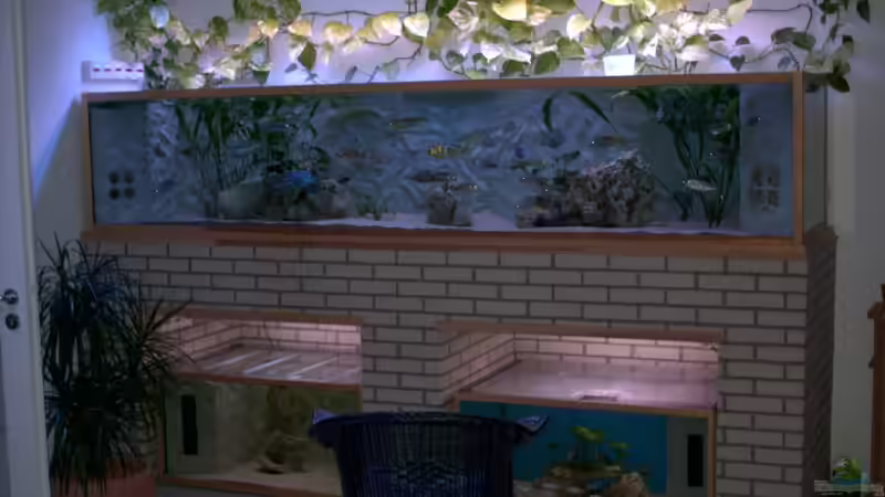 Aufzuchtbecken 300x70x60cm von Wolfgang Schlader (2)