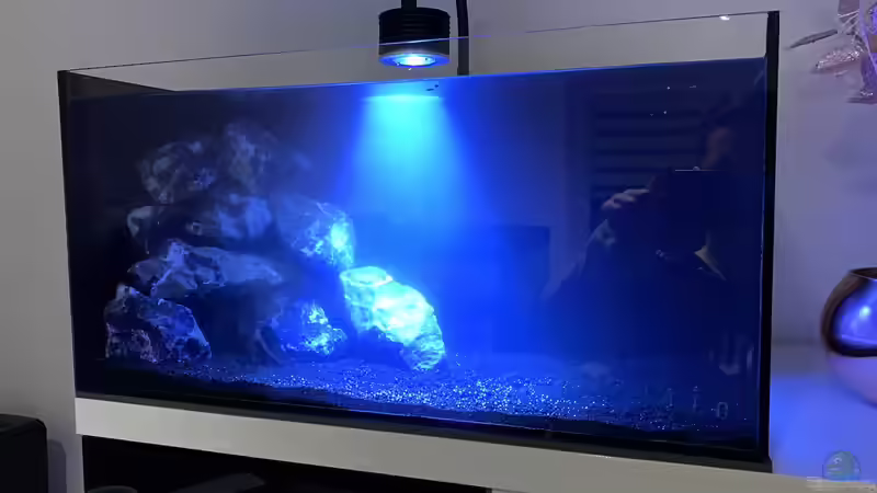 Aufzuchtbecken Einlaufphase von Dsquared (6)