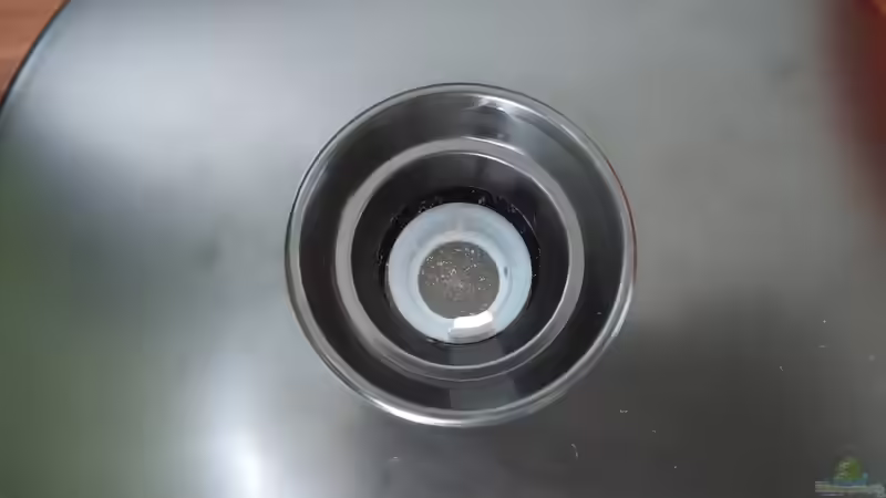 Aufzuchtschale für Artemia-Nauplien von Solvin (4)