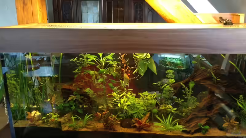 Aug 17 von Ceylon (15)