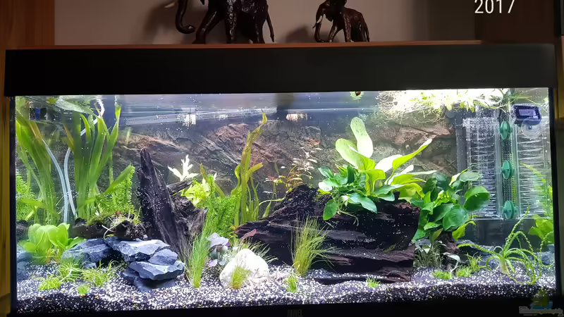 Augus 2017 von Manuela&Mike (6)