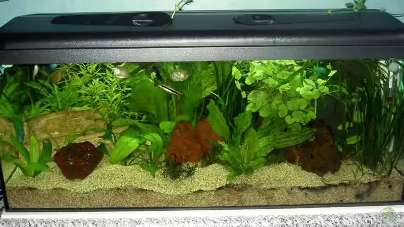 August 05 von Stefan R. (2)