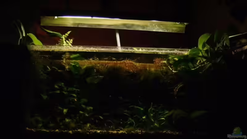 August 2008 --- Nacht --- von timme (2)