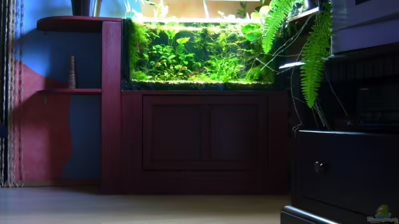 August 2008 von timme (3)