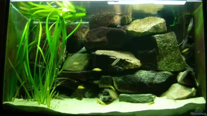 August 2008 von timme (6)