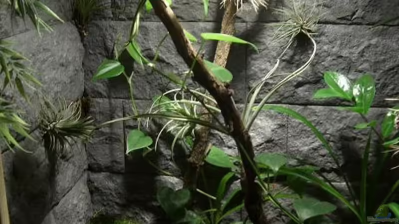 August 2010 von Miguel (6)