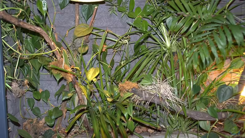 August 2012 von Miguel (10)