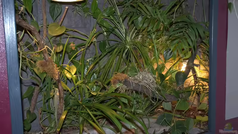 August 2012 von Miguel (11)