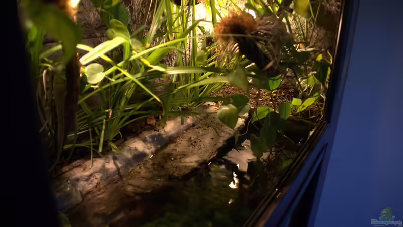 August 2012 von Miguel (13)