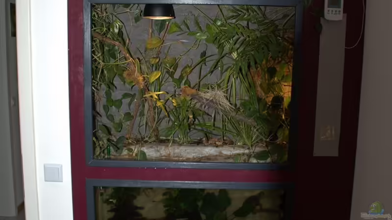 August 2012 von Miguel (4)